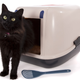 Illustration for article titled Kitty Litter Is Great for Catching Arsonists